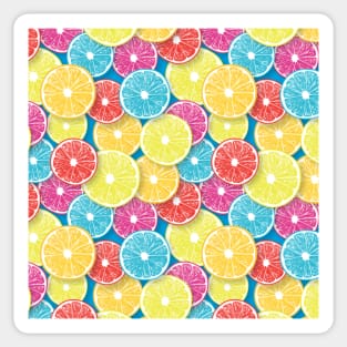 Citrus fruit slices pop art 2 Sticker